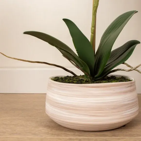 Artificial Orchid Plant - White, Ceramic Pot