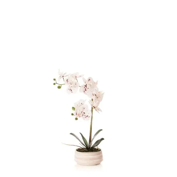 Artificial Orchid Plant - White, Ceramic Pot