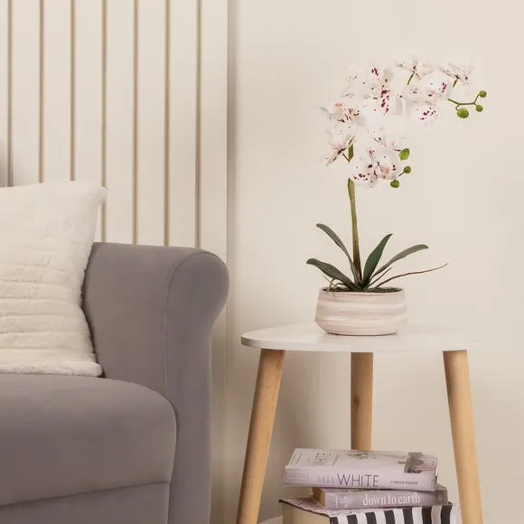 Artificial Orchid Plant - White, Ceramic Pot image