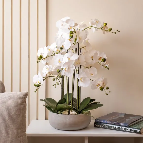 Artificial Orchid Plant - White, Ceramic Pot image