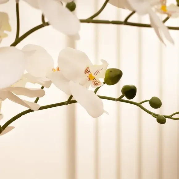 Artificial Orchid Plant - White, Terrazzo Pot