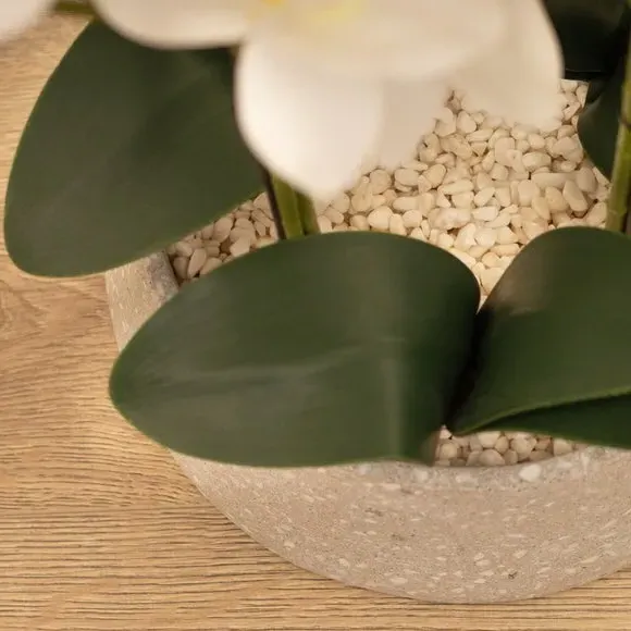 Artificial Orchid Plant - White, Terrazzo Pot