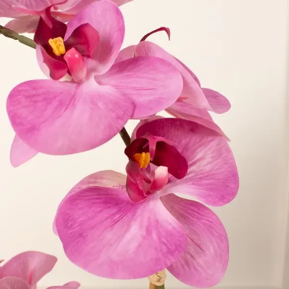 Artificial Orchid with Ceramic Pot - Pink