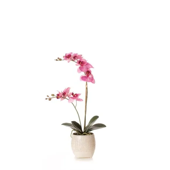 Artificial Orchid with Ceramic Pot - Pink