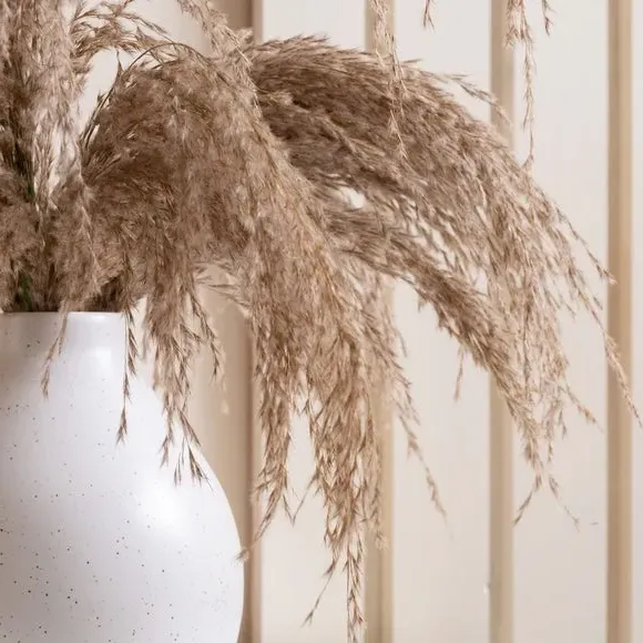 Artificial Pampas Grass with Vase - Natural