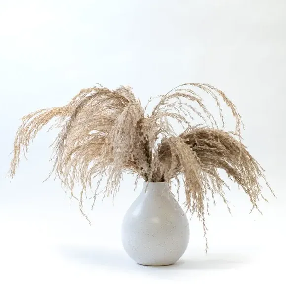 Artificial Pampas Grass with Vase - Natural