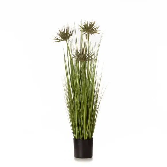 Artificial Papyrus Plant - Green, Plastic Pot