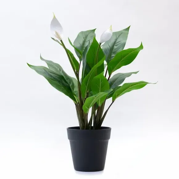 Artificial Peace Lily Plant - White, Plastic