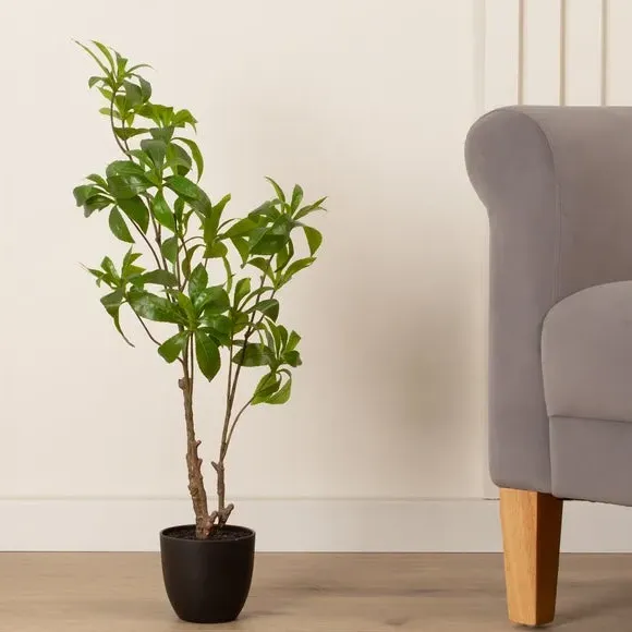 Artificial Pieris Tree - Green, Plastic Pot image