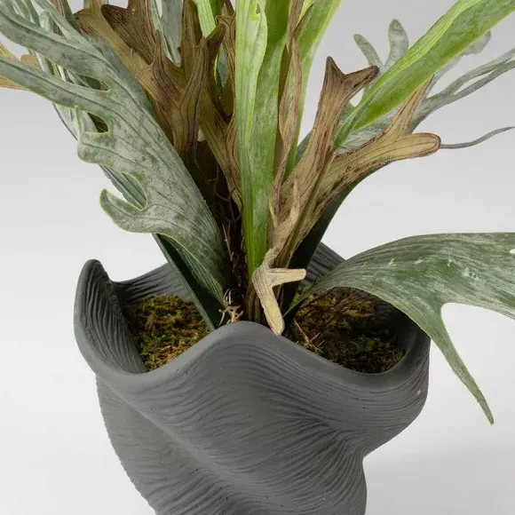 Artificial Plant in Shell Pot - Green, Cement