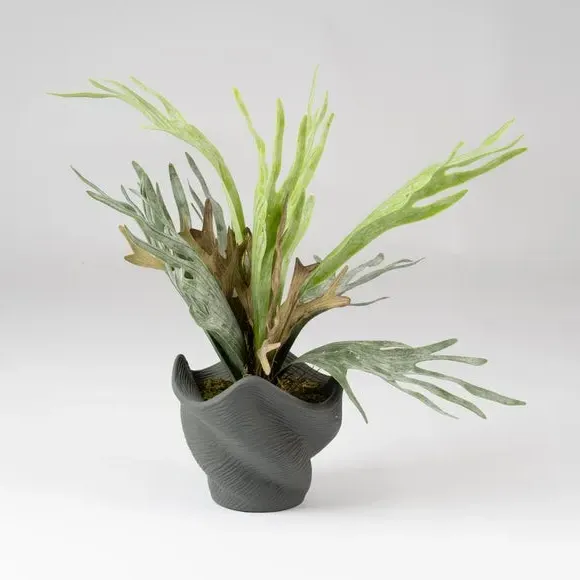 Artificial Plant in Shell Pot - Green, Cement