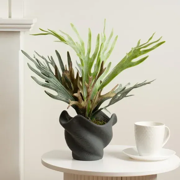 Artificial Plant in Shell Pot - Green, Cement image