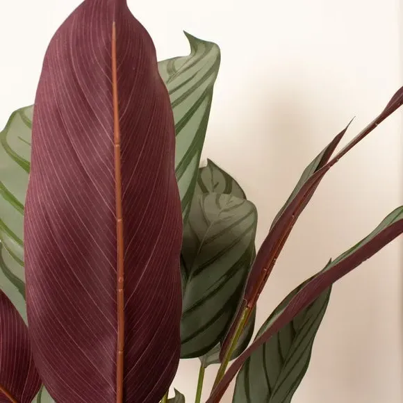 Artificial Prayer Plant - Green, Plastic Pot