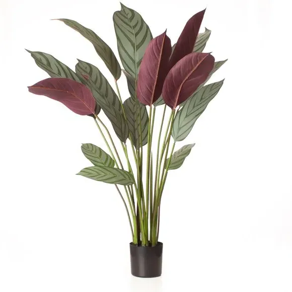 Artificial Prayer Plant - Green, Plastic Pot