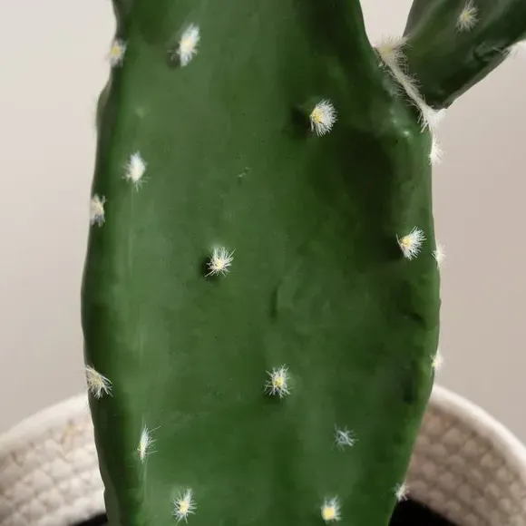 Artificial Prickly Pear Cactus - Green, Plastic