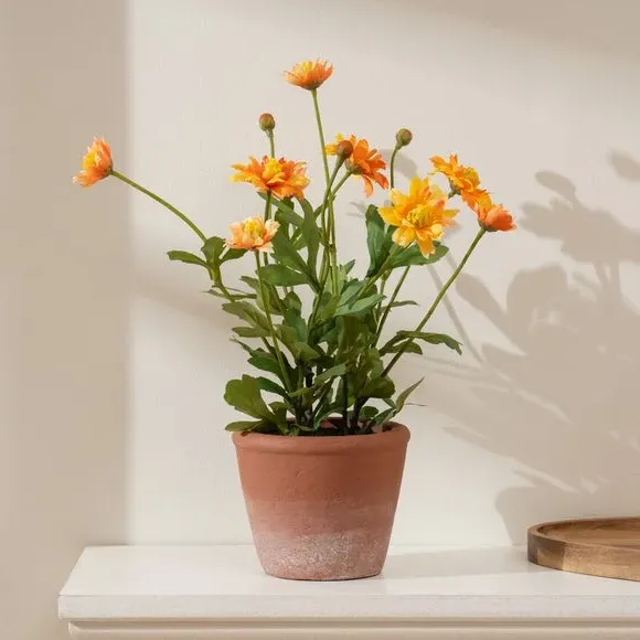 Artificial Pyrethrum Daisy Plant - Orange, Terracotta image