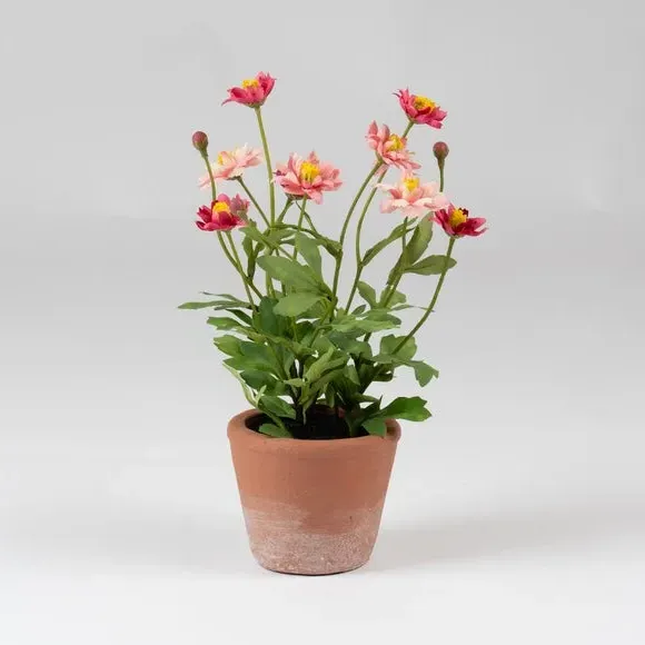Artificial Pyrethrum Daisy Plant - Pink, Terracotta