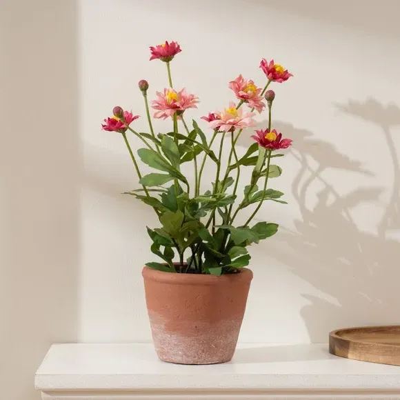 Artificial Pyrethrum Daisy Plant - Pink, Terracotta
