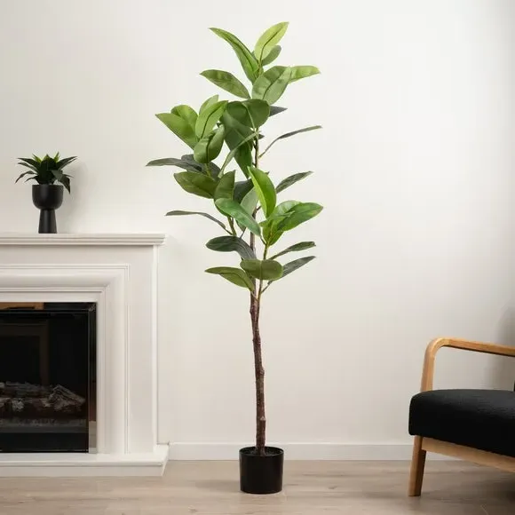 Artificial Rubber Tree - Green, Plastic Pot image