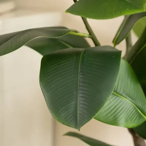 Artificial Rubber Tree with Pot - Green