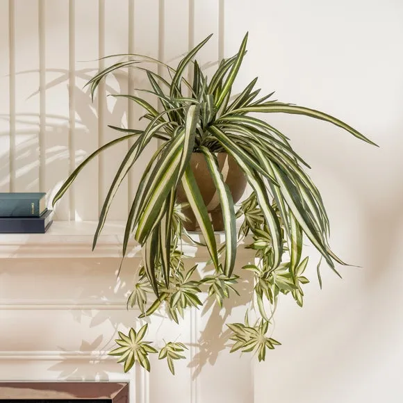 Artificial Spider Plant - Green, Rustic Pot