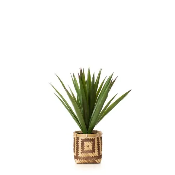 Artificial Spikey Plant - Green, Bamboo Pot