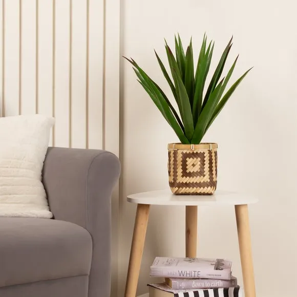 Artificial Spikey Plant - Green, Bamboo Pot image
