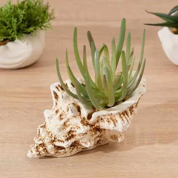 Artificial Succulent in Shell Pot - Green, Cement image