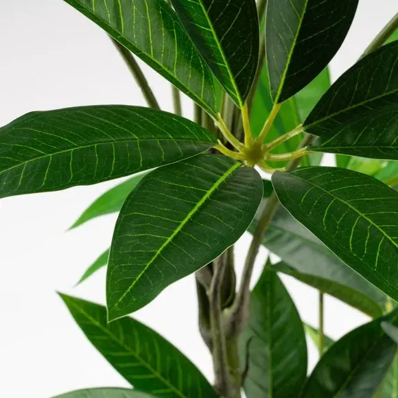 Artificial Umbrella Plant - Green, Plastic Pot