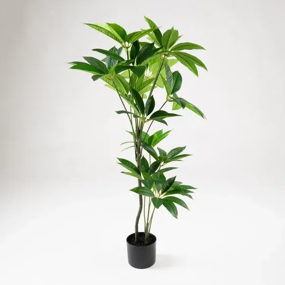 Artificial Umbrella Plant - Green, Plastic Pot