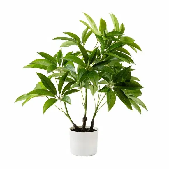 Artificial Umbrella Plant - Green, White Pot