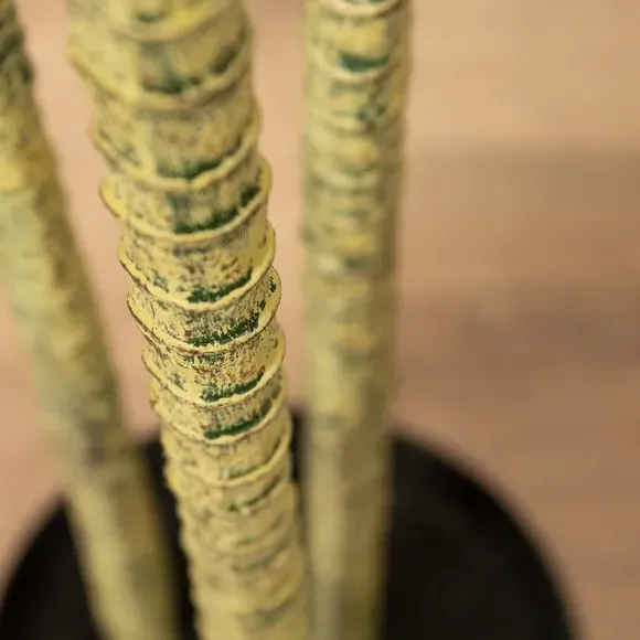 Artificial Yucca Tree - Green, Plastic Pot