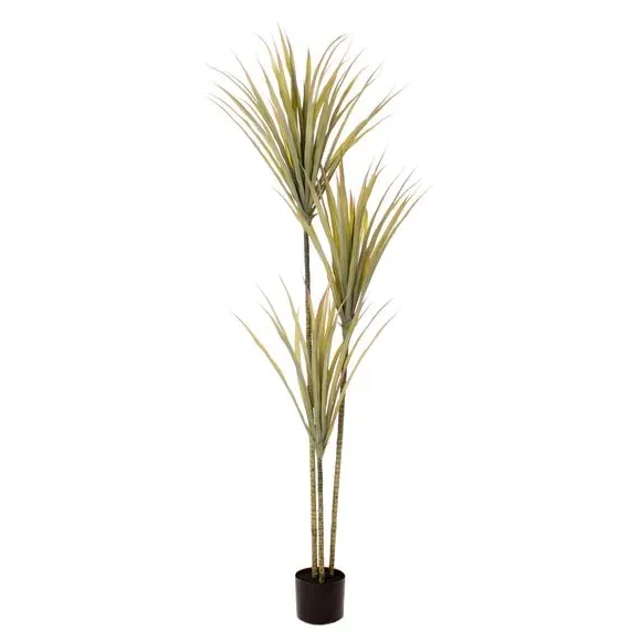 Artificial Yucca Tree - Green, Plastic Pot