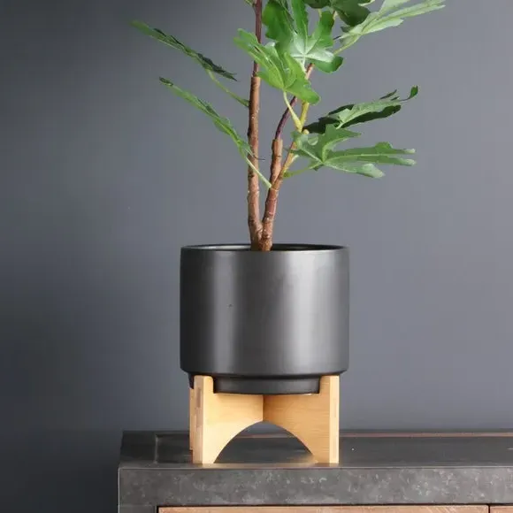 Ceramic Plant Pot on Wooden Stand - Black image