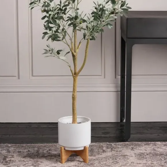 Ceramic Plant Pot on Wooden Stand - White