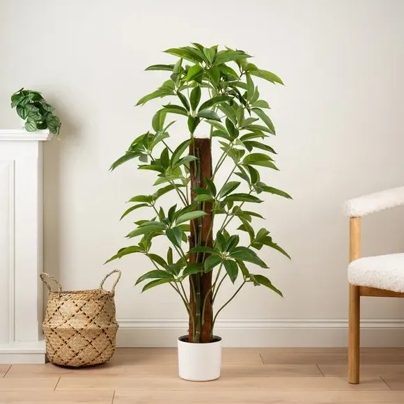 Climbing Umbrella Plant - Green, Artificial image
