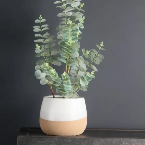 Curved Plant Pot - Multicolor, Two Tone Design