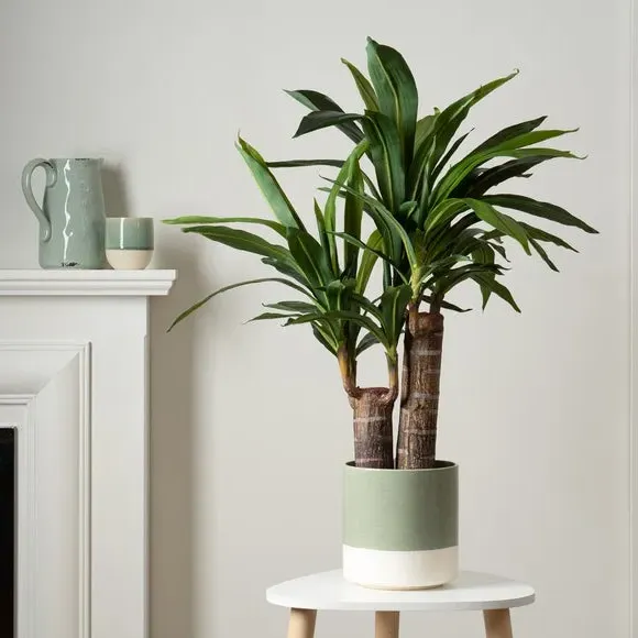 Double Stem Artificial Yucca Plant - Green image
