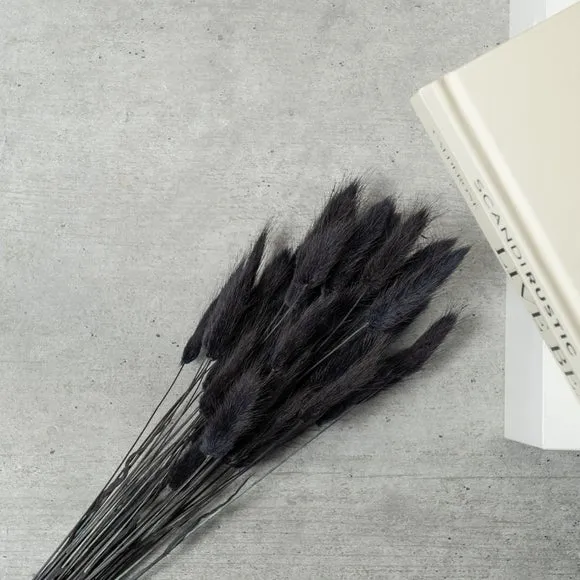 Dried Bunny Tails Bouquet - Black, Natural