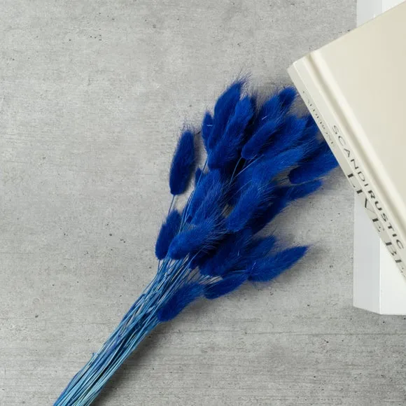 Dried Bunny Tails Bouquet - Blue, Natural