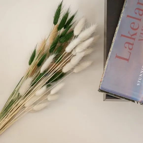 Dried Bunny Tails Bouquet - Green, Natural