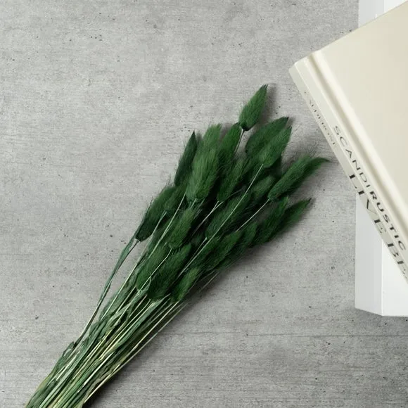 Dried Bunny Tails Bouquet - Green, Natural