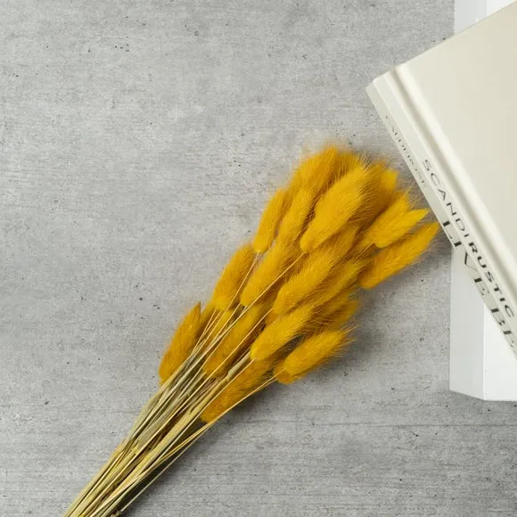 Dried Bunny Tails Bouquet - Mustard, Natural