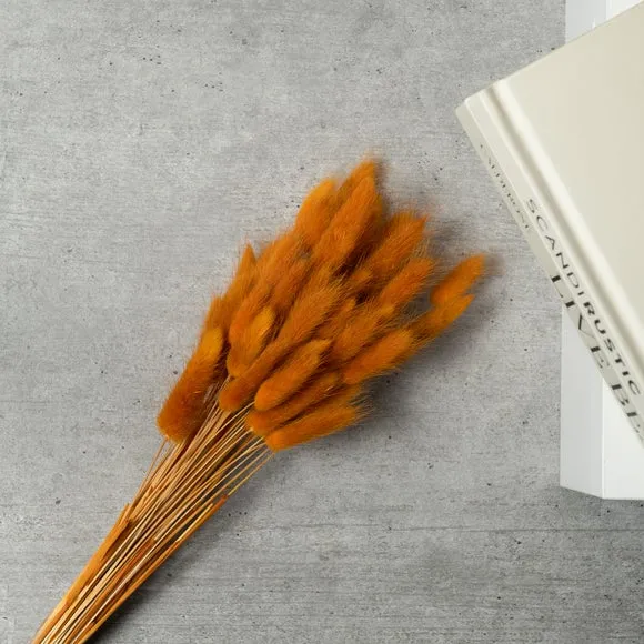 Dried Bunny Tails Bouquet - Rust, Natural