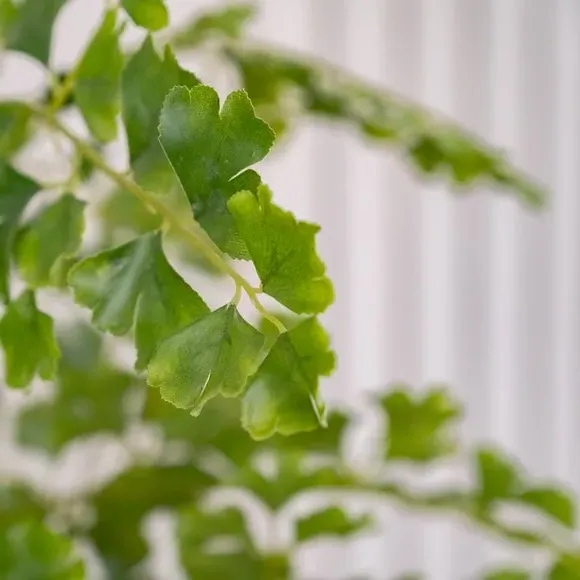 Mini Artificial Gingko Tree - Green, Faux Leaves
