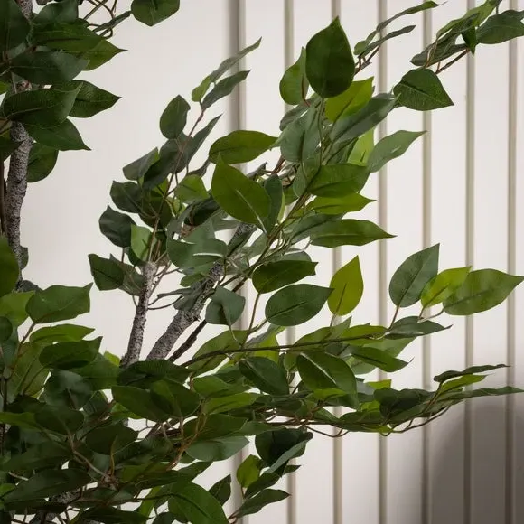 Mini Ficus Tree with Pot - Green, Artificial