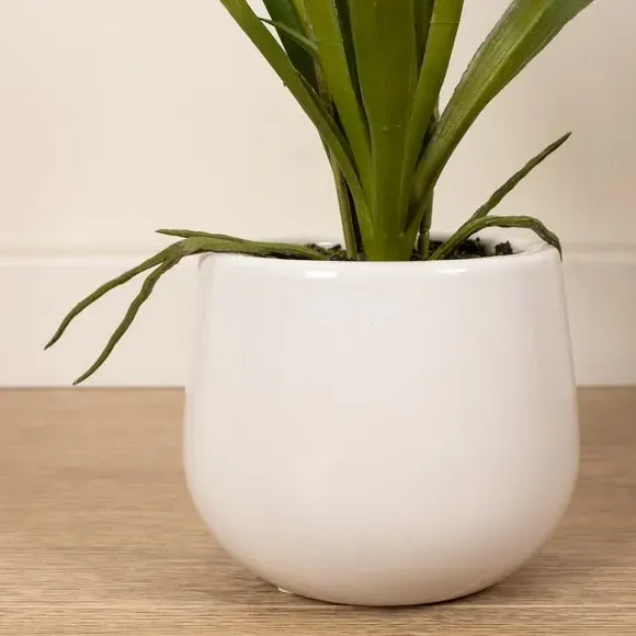 Mini Orchid Plant with Pot - White, Ceramic