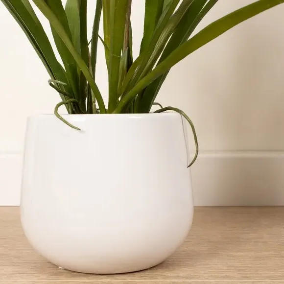 Mini Orchid Plant with Pot - White, Ceramic