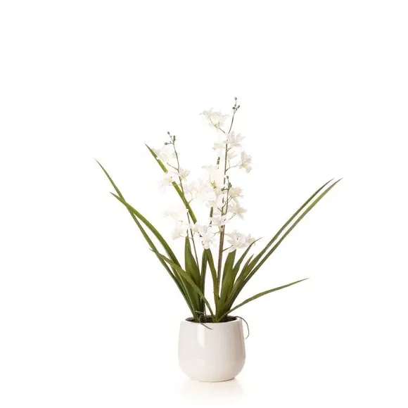 Mini Orchid Plant with Pot - White, Ceramic