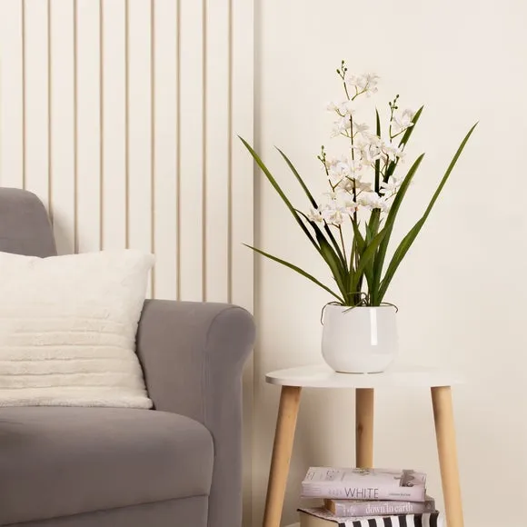 Mini Orchid Plant with Pot - White, Ceramic